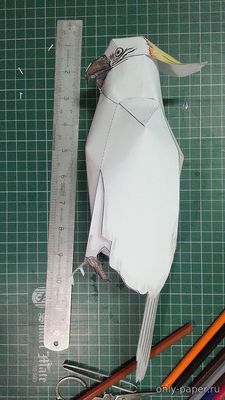 Сборная бумажная модель / scale paper model, papercraft Какаду (Mak Sui Shing) 