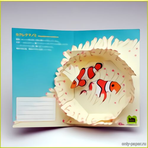 Открытка рыбы-клоуна в коралловых рифах из бумаги/картона