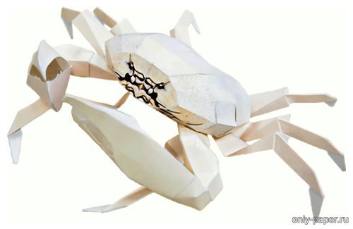 Сборная бумажная модель / scale paper model, papercraft Краб / Crab 