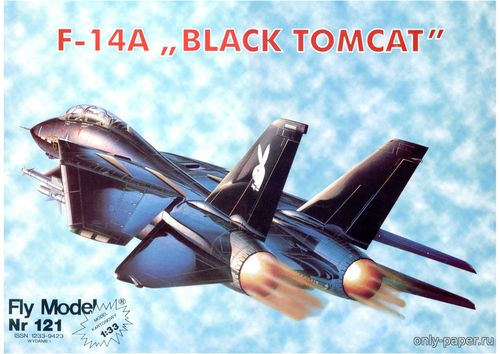 Сборная бумажная модель / scale paper model, papercraft F-14A Black Tomcat (Fly Model 121) 