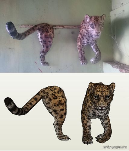 Сборная бумажная модель / scale paper model, papercraft Леопард в стене / Leopard for wall life size (Lord Darzor) 