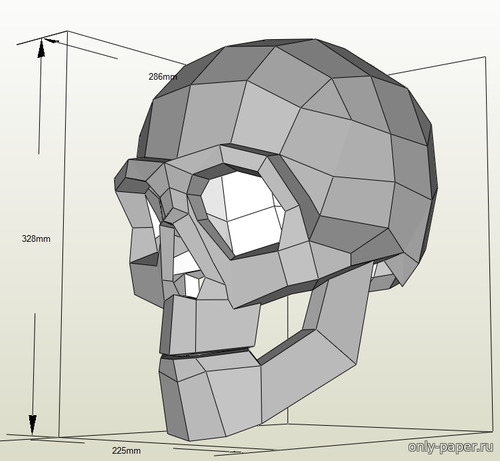 Модель черепа из бумаги/картона