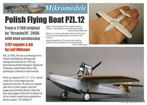 Модель самолета PZL-12 из бумаги/картона