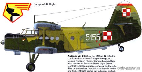 Модель самолета Ан-2 ВВС Польши из бумаги/картона
