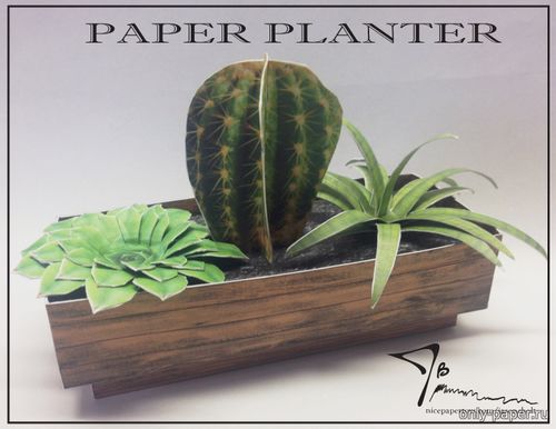 Модель кактуса в кашпо из бумаги/картона