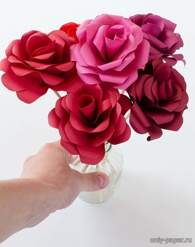 Сборная бумажная модель / scale paper model, papercraft Розы / Roses 