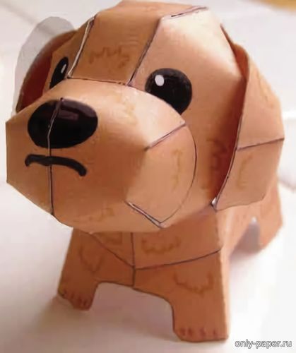 Сборная бумажная модель Той-пудель / Toy Poodle