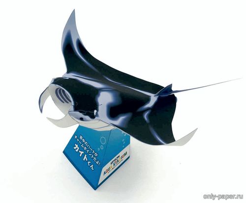 Сборная бумажная модель / scale paper model, papercraft Манта, морской дьявол (скат) / Manta ray (Epson) 