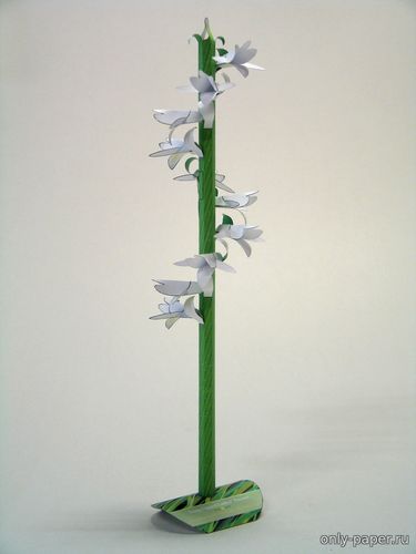 Модель цветка Скрученник из бумаги/картона