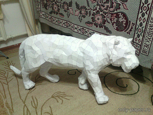 Сборная бумажная модель / scale paper model, papercraft Тигр из Суматры (Айбек Осмоналиев) 