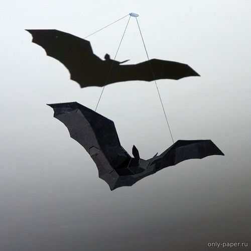 Сборная бумажная модель / scale paper model, papercraft Летучая мышь / Bat 