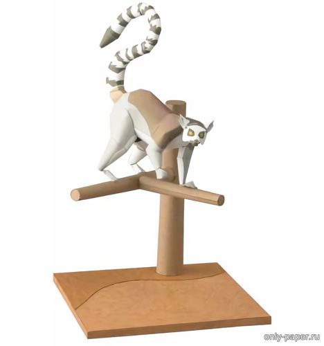 Сборная бумажная модель / scale paper model, papercraft Кошачий лемур / Ring-tailed Lemur 