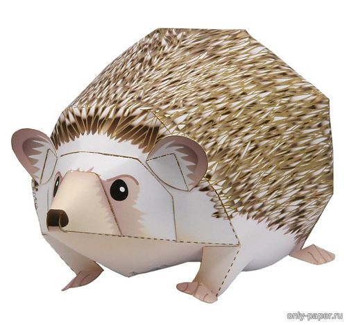 Сборная бумажная модель / scale paper model, papercraft Белобрюхий еж / Four-toed hedgehog (Canon) 