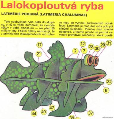 Сборная бумажная модель / scale paper model, papercraft Lalokoploutva ryba  [ABC 1984-14] 