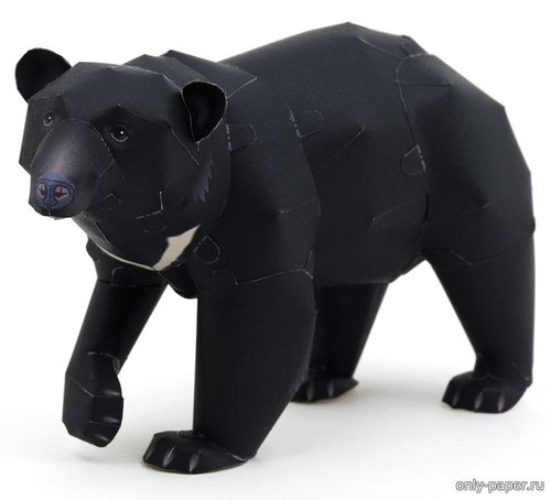 Сборная бумажная модель / scale paper model, papercraft Гималайский медведь / Ursus thibetanus 