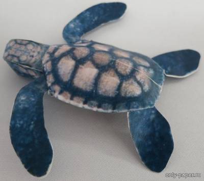 Модель морской черепахи из бумаги/картона