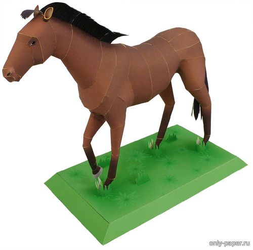 Модель скаковой лошади из бумаги/картона