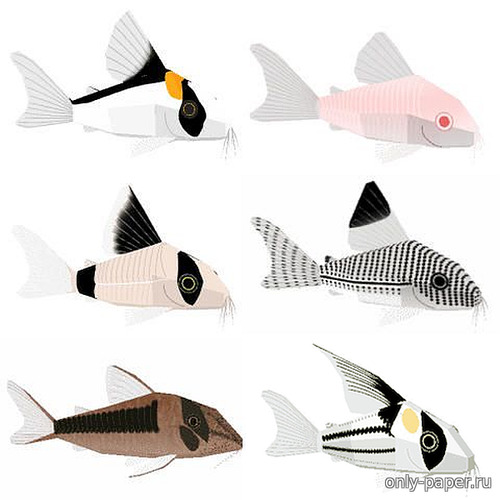 Сборная бумажная модель / scale paper model, papercraft Сомики / Decorative Corydora Fish 