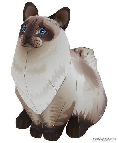 Модель полудлинношерстной кошки Рэгдолл из бумаги/картона