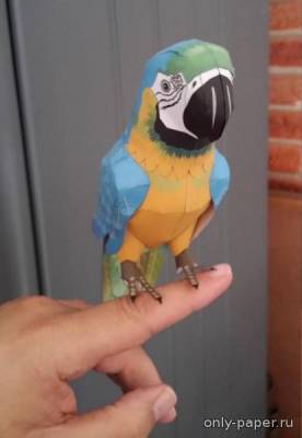 Модель попугая сине-жёлтого ары из бумаги/картона