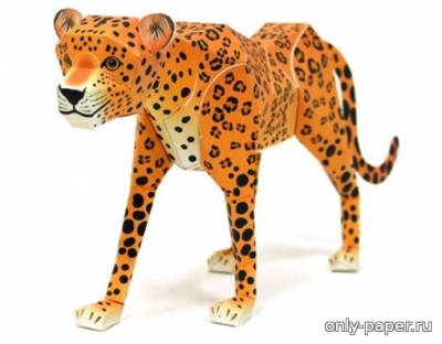 Модель леопарда из бумаги/картона