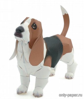 Модель собаки породы бассет-хаунд из бумаги/картона