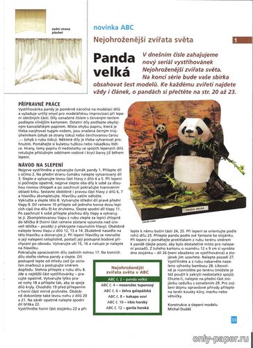 Сборная бумажная модель / scale paper model, papercraft Гигантская панда / Panda velká (ABC 2/2007) 