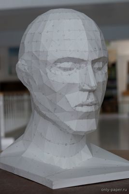 Модель головы человека из бумаги/картона