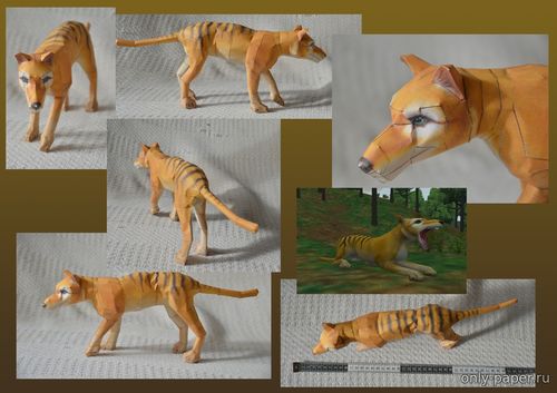 Сборная бумажная модель / scale paper model, papercraft Сумчатый тасманский волк / Thylacine (Zoo Tycoon 2) 