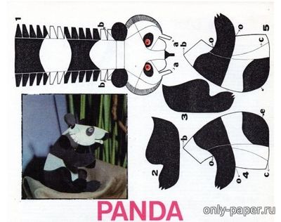 Сборная бумажная модель / scale paper model, papercraft Панда / Panda [ABC 20/1977] 