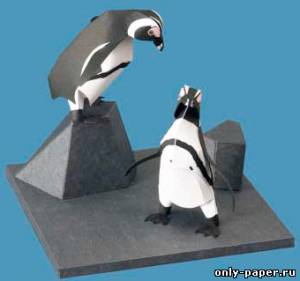 Модель Африканского пингвина из бумаги/картона