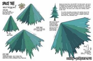 Сборная бумажная модель / scale paper model, papercraft Sruce Tree - Ёлка  [Fiddlers Green] 