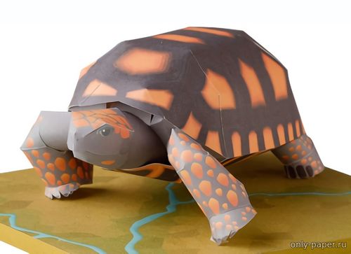 Модель зубчатой черепахи из бумаги/картона