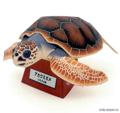 Модель морской черепахи из бумаги/картона