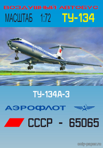 Модель самолета Ту-134А-3 из бумаги/картона