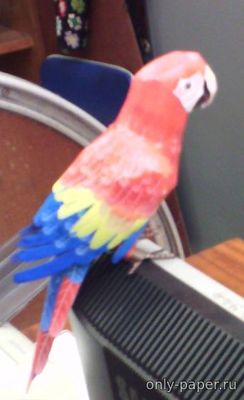 Модель попугая Красный ара из бумаги/картона
