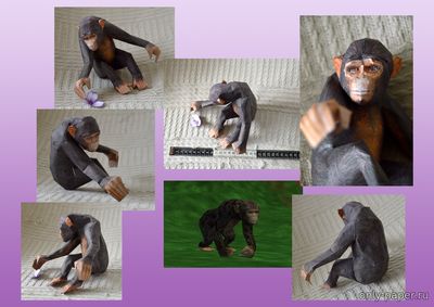 Сборная бумажная модель / scale paper model, papercraft Шимпанзе / Chimpanzee (Zoo Tycoon) 