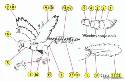 Сборная бумажная модель / scale paper model, papercraft Archeopteryx [ABC 1987-14] 