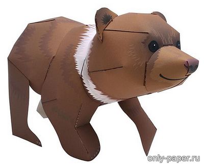 Сборная бумажная модель / scale paper model, papercraft Медведь-гризли 