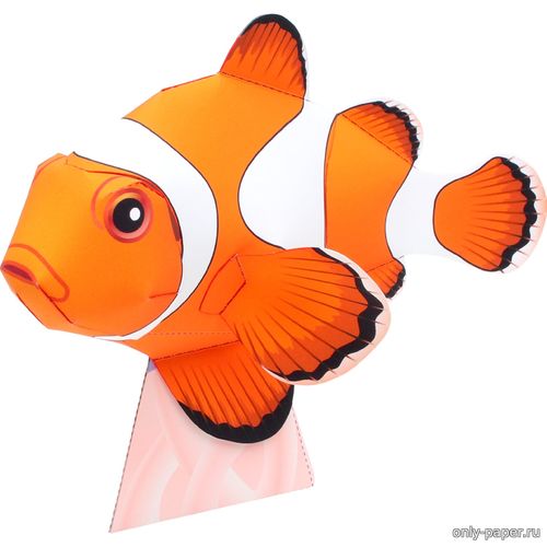 Модель рыбы-клоуна из бумаги/картона