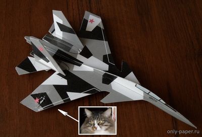 Сборная бумажная модель / scale paper model, papercraft Контурная модель Су-30МКИ (Евгений Поварихин) 