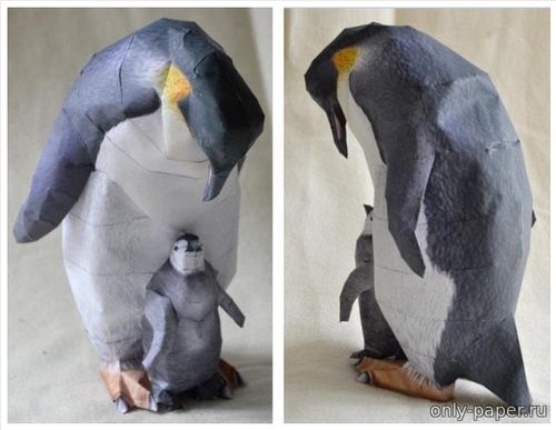 Сборная бумажная модель / scale paper model, papercraft Императорский пингвин / Emperor Penguin 