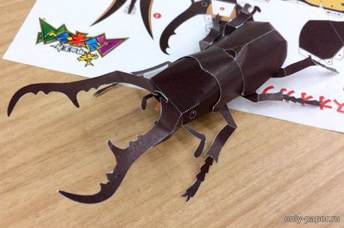 Сборная бумажная модель / scale paper model, papercraft Жук-олень / Prosopocoilus giraffa 