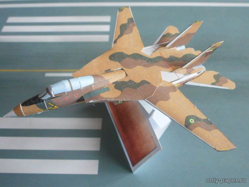 Сборная бумажная модель / scale paper model, papercraft F-14A Tomcat 