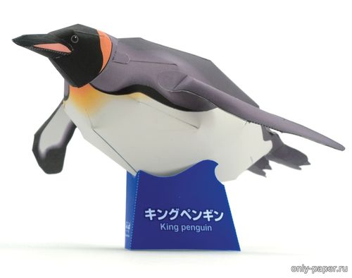 Модель королевского пингвина из бумаги/картона