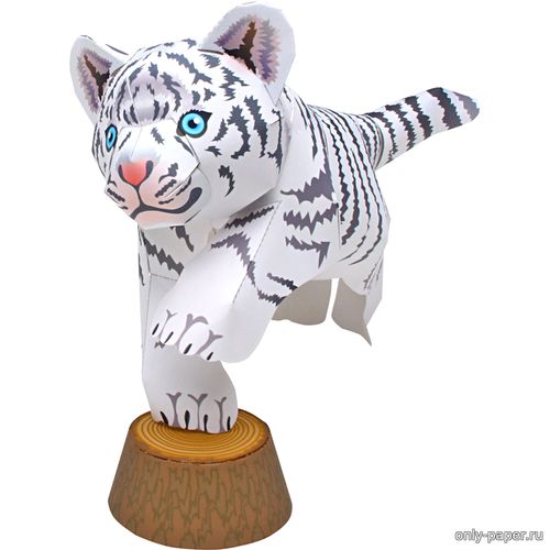 Модель белого тигра из бумаги/картона