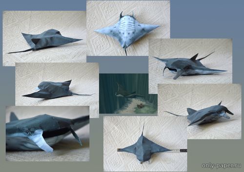 Сборная бумажная модель / scale paper model, papercraft Манта, морской дьявол (скат) / Manta ray (Zoo Tycoon) 