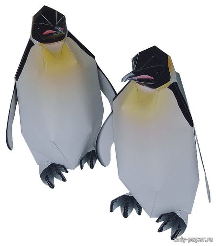 Модель императорского пингвина из бумаги/картона