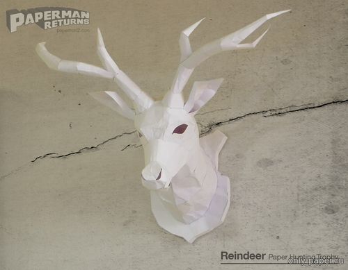 Сборная бумажная модель / scale paper model, papercraft Голова оленя 