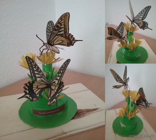 Сборная бумажная модель / scale paper model, papercraft Бабочка-парусник / Swallowtail Baterfly 